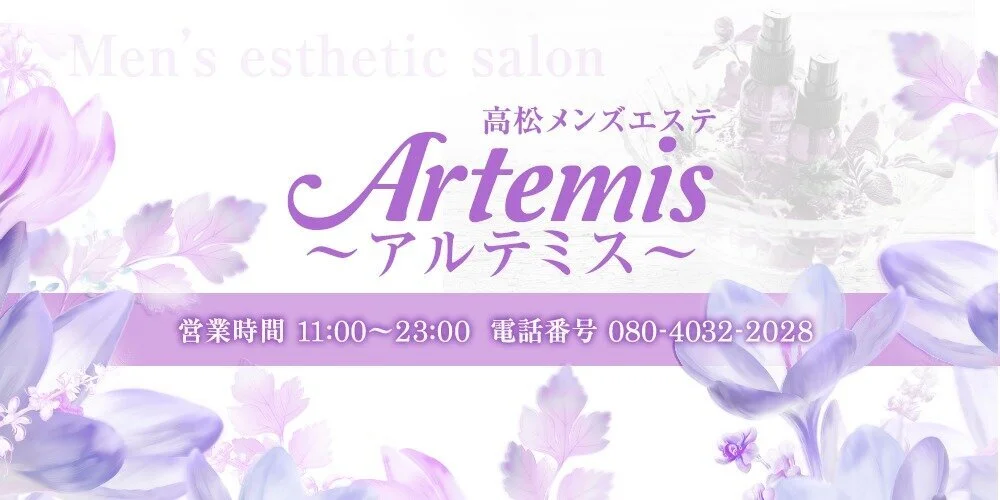 Artemis〜アルテミス〜のカバー画像