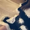 みみ(20代)