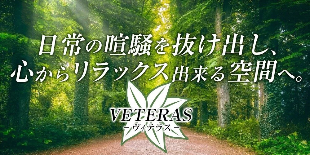 バケーションタイム VETERAS(ヴィテラス)のカバー画像