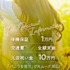 セラピスト大募集！のサムネイル
