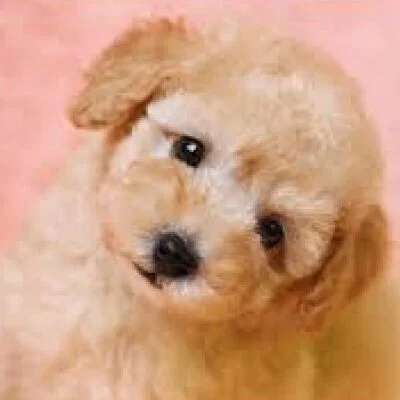 綺麗な個室 綺麗な個室