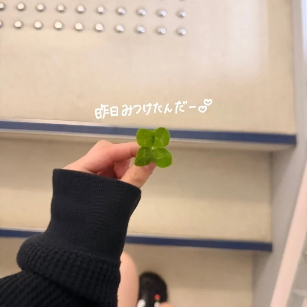 🍀⋆゜