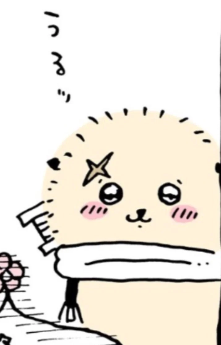 キャンセルありました〜