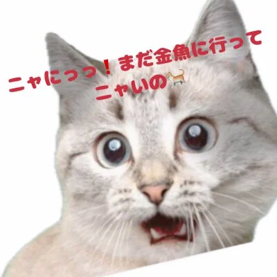 🉐安心の老舗店“金魚”でお得にマッサージはいかがですか💕