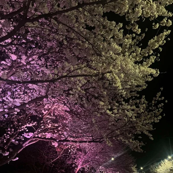 本日お休みになります🙇‍♀️