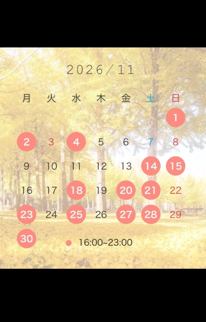 11月スケジュール🍂🤍