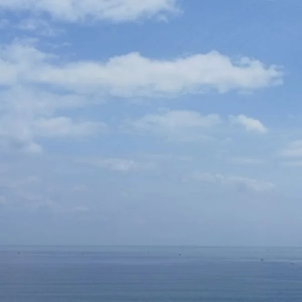先日は、どうもありがとうございました