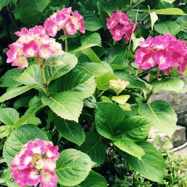 5/20(水)お礼🙂‍↕️🙏