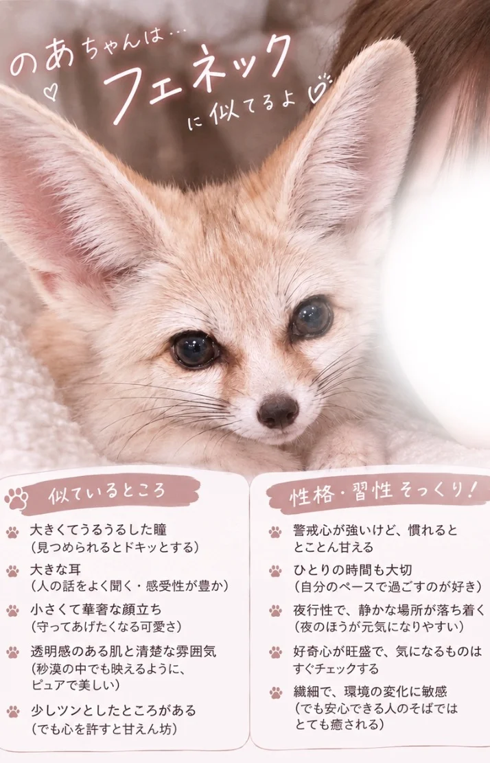 のあちゃんの正体、実は…？♡