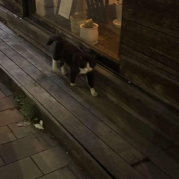 広島ラスト出勤🐶🎀