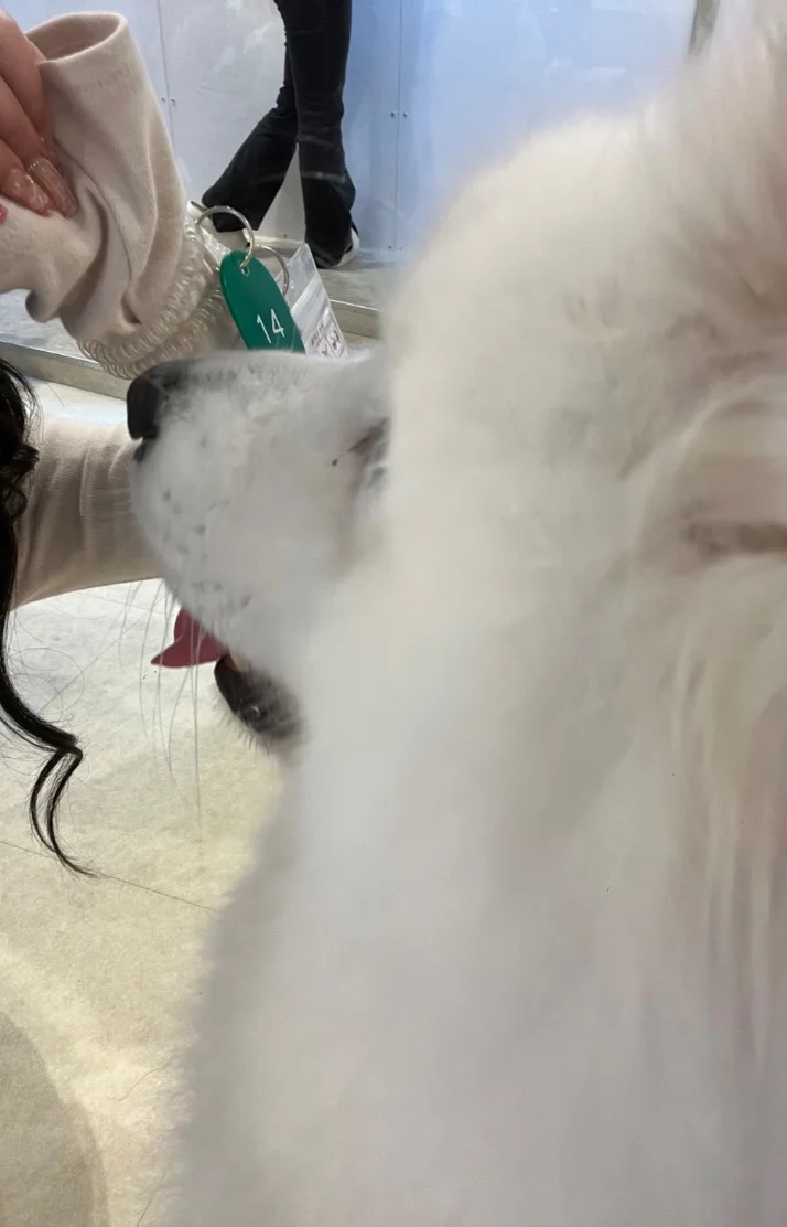 最終枠あと少し