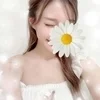 ひめか