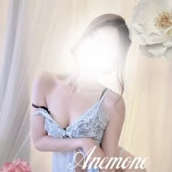 🎈フォロワーさん＆ブログ読者限定割🎈