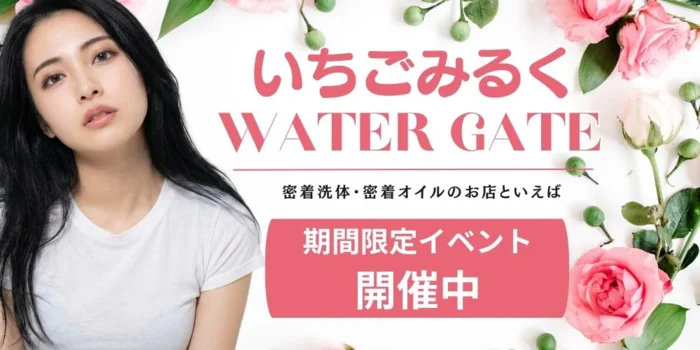 ウォーターゲート