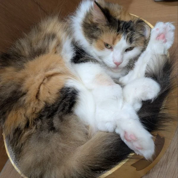 元気に出勤しました🙋