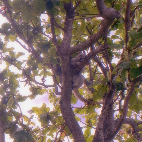ラストまでーーーっ❣️