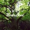 大人のNEVERLAND