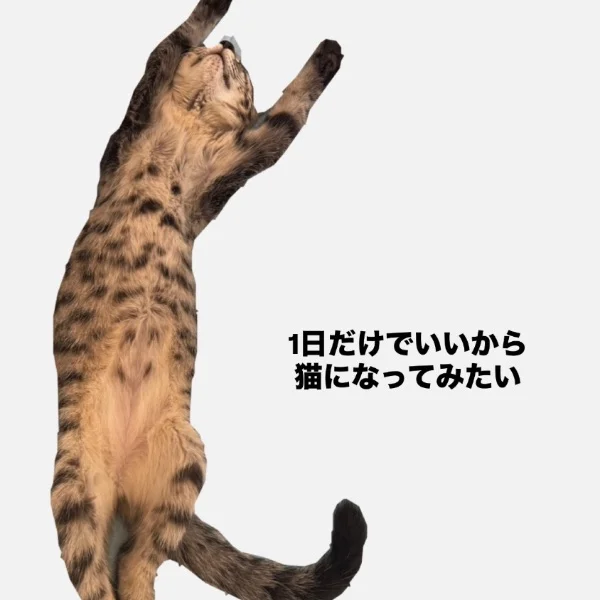 一生のお願い