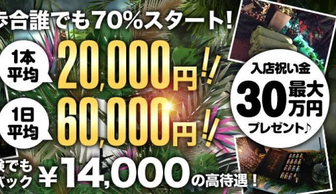 【健全店No.1宣言】1本平均16000円～22000円以上のサムネイル