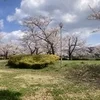 桜🌸のサムネイル