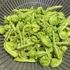 次は来春かなあ🍃のサムネイル