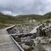 天然の癒しのサムネイル