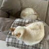 にゃん(=^・^=)のサムネイル