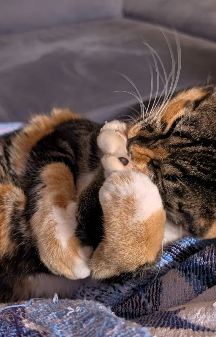 本日もありがとうございました🙇✨️