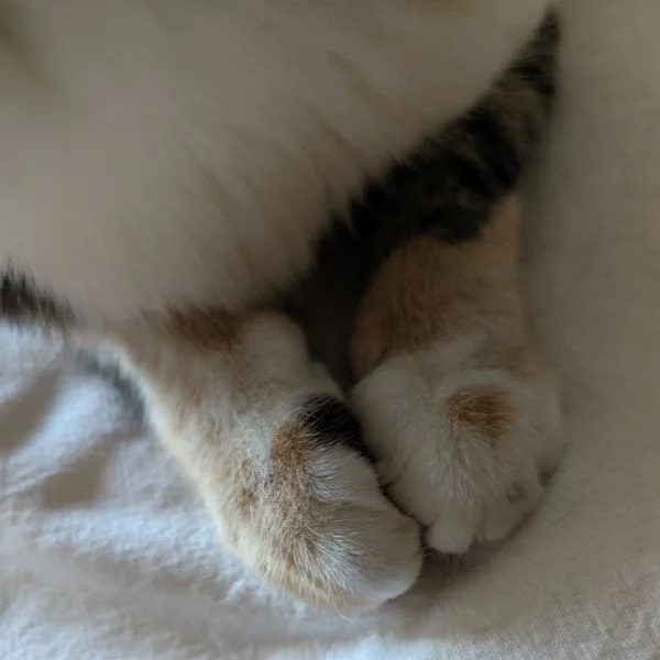 💌23日㈯ありがとう💌