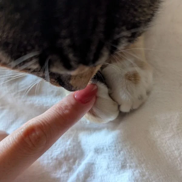 おはようございます🌞