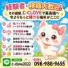 ✨C-CLOVEで働くメリット✨のサムネイル