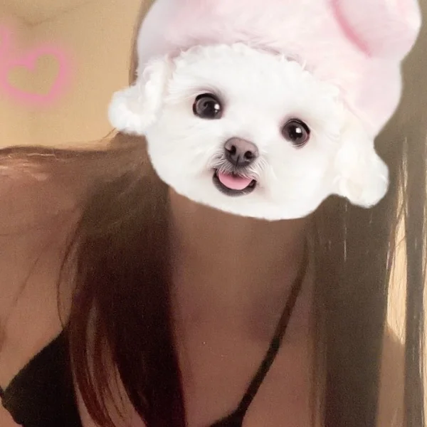 本指ありがとうございました♡♡ ✮*。゚本日完売です✮*。゚