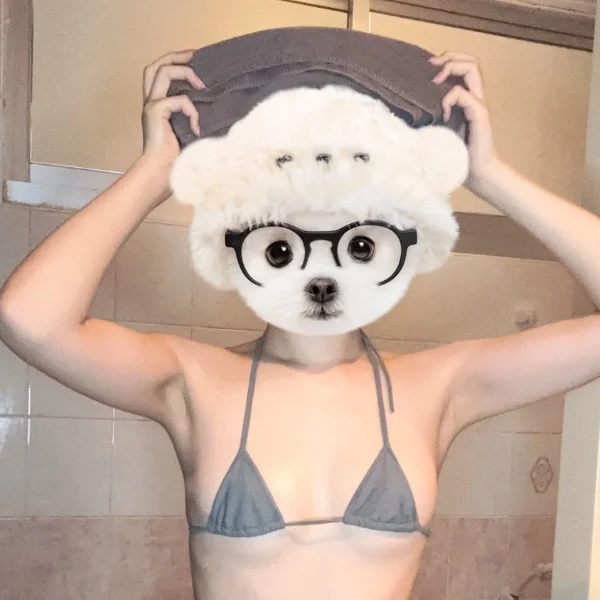たいきん