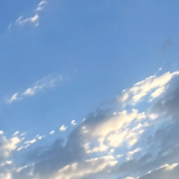 おちゅ
