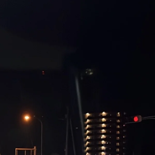 今日も今日とて！！