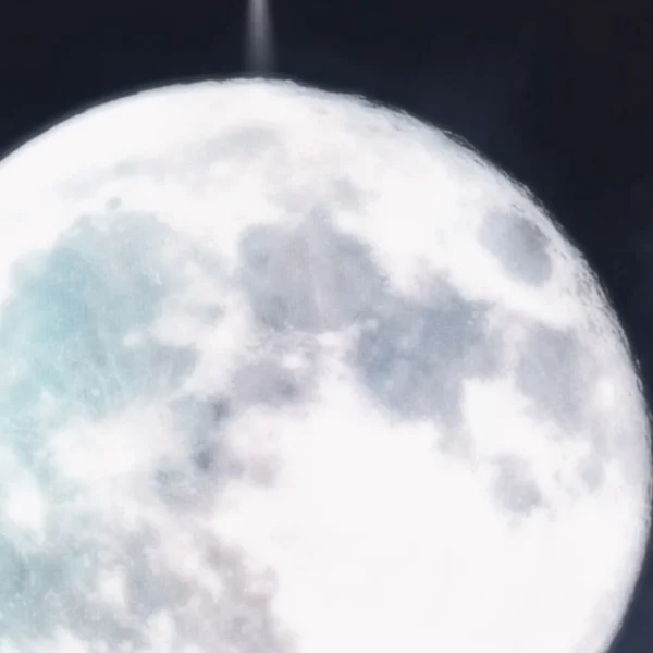 きたく！！