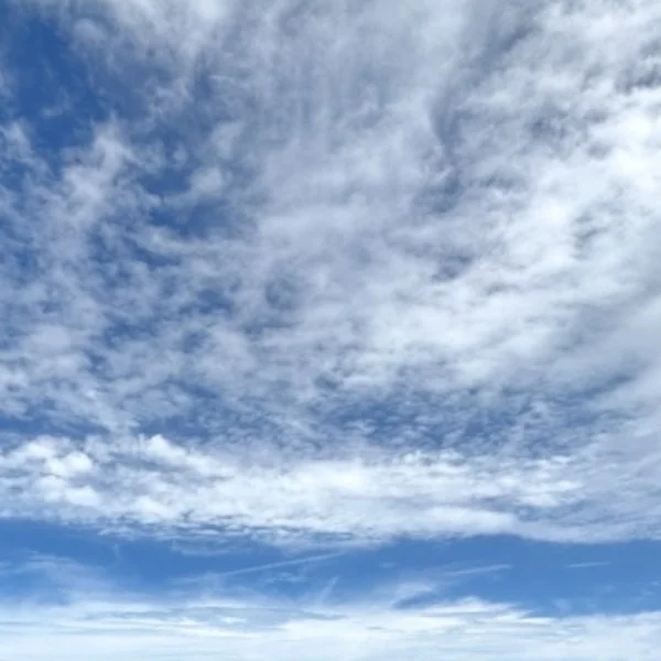 おはようございます♪