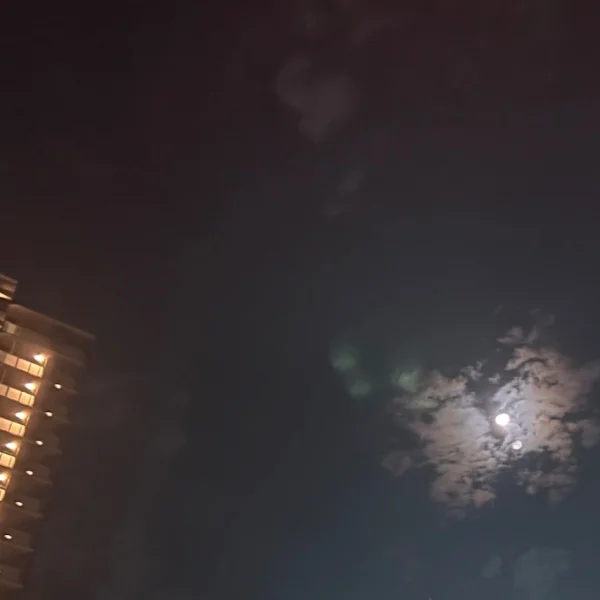 満月🌕🌕次は📍明日25日13-01時〜🌸