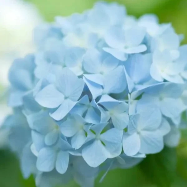 本日18時までいます💕