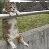 体験入店～初めましての方へ♬のサムネイル