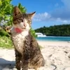  体験入店～初めましての方へ♬のサムネイル