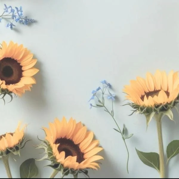 ありがとうございました💛