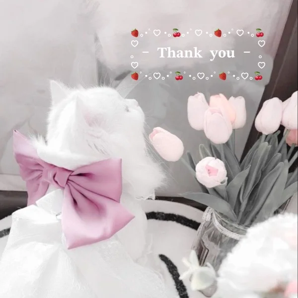 💌6/5