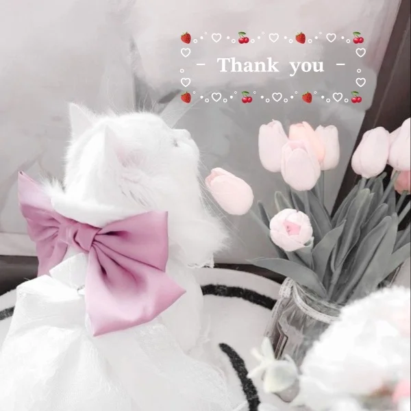 💌
