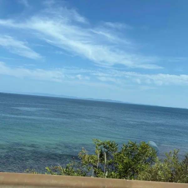 お̤̮っ̤̮は̤̮ ᵐ ᵒ ʳ ᐢ ⁱ ᐢ ᵍ 🔆