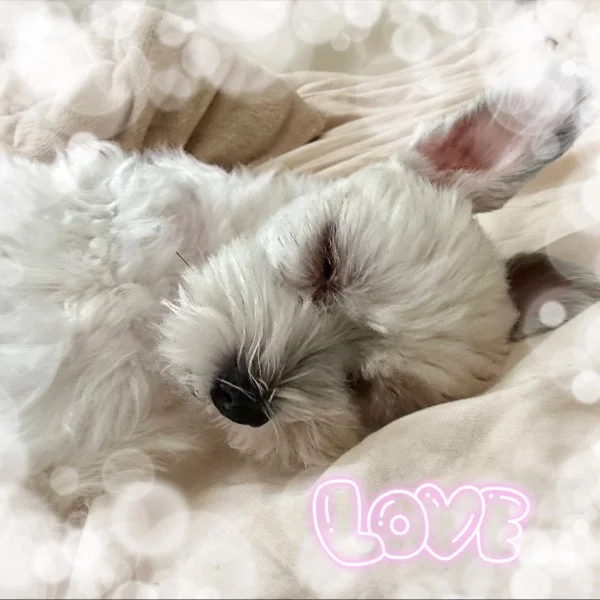 体調崩してしまいました😵‍💫