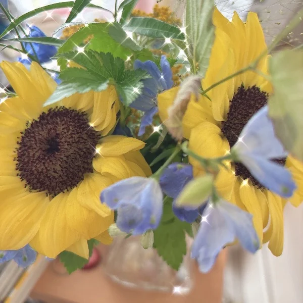 本日25:30まで♪