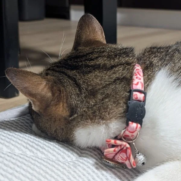 本日出勤です🥺💓