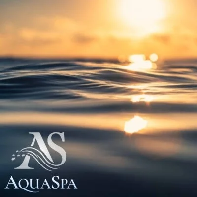 お店の特徴その1