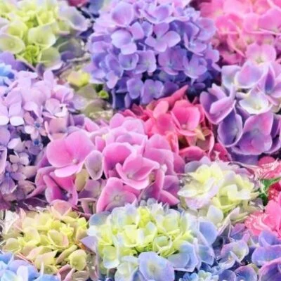 🥇120分コース🥇 🥇120分コース🥇
